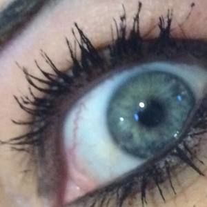 Meet your Posher, Shirley